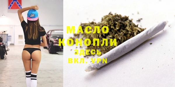 тгк Дмитровск