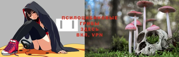 первитин Бугульма