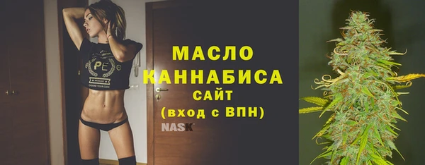 дживик Бородино