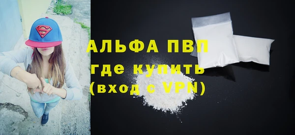 дживик Бородино