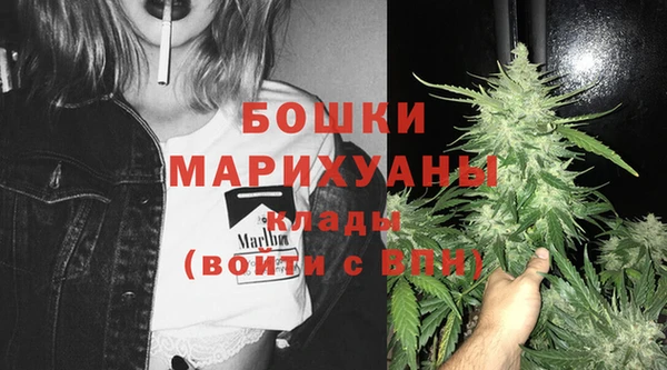 дживик Бородино