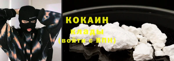 ГАЛЛЮЦИНОГЕННЫЕ ГРИБЫ Бронницы