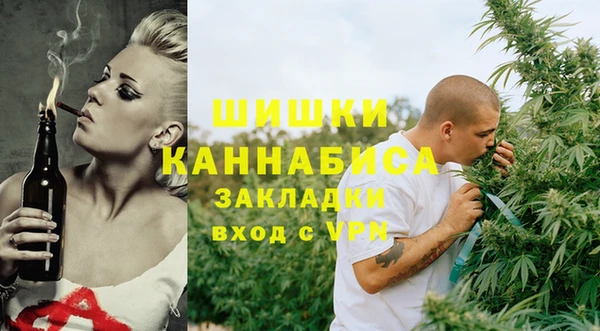 дживик Бородино