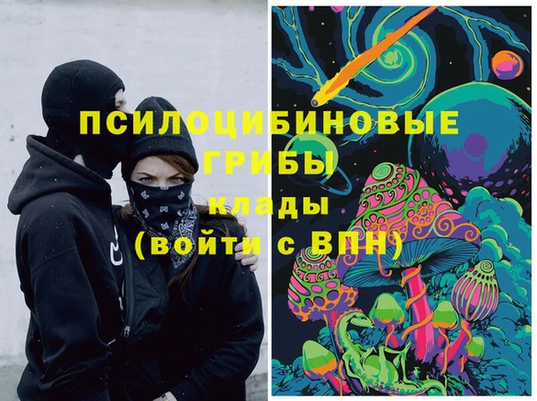 ГАЛЛЮЦИНОГЕННЫЕ ГРИБЫ Бронницы