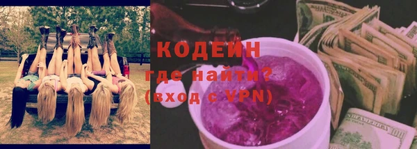 дживик Бородино