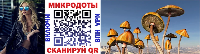 цена наркотик  Зуевка  Галлюциногенные грибы мухоморы 